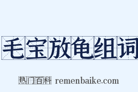 毛宝放龟组词是什么意思的图片